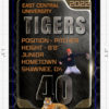 Player Trading Cards - Image 5